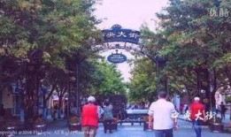 哈尔滨爆料林园案件最新,揭开神秘投资骗局真相