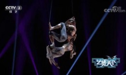 杂技演员新爆料视频播放,新爆料视频揭示惊险瞬间