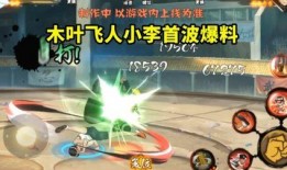 忍战小李技能爆料视频最新,视频爆料揭示神秘力量